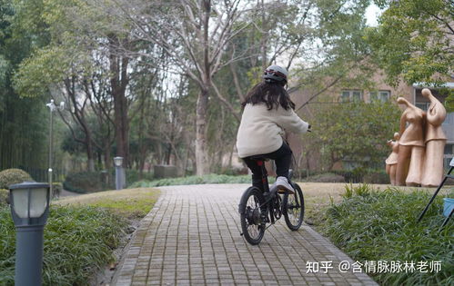 骑记电动助力自行车C2 融合两轮优势的出行新选择