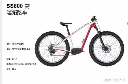 电助力自行车电机品牌混战 机遇与挑战并存的修理新生态